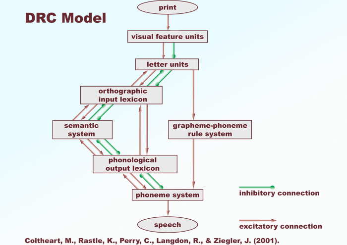 Coltheart et al. DRC model (2001)