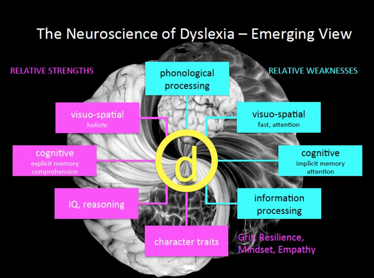 Slide from Dr. Fumiko Hoeft's powerpoint presentation: Strength in Cognitive Diversity