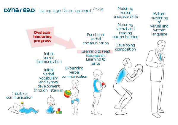 diagram of language development