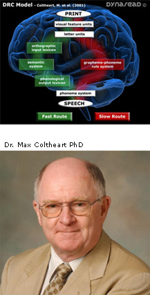 Image od Dr. Coltheart's DRC model, plus passphoto of Dr. Coltheart.